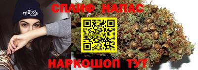 ALPHA-PVP Новозыбков