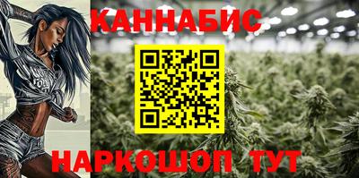 Альфа ПВП Новодвинск